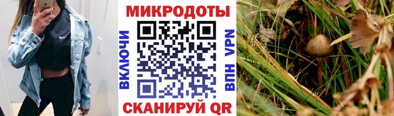 Псилоцибиновые грибы мухоморы  наркошоп  Каневская 